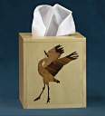 Box_Kleenex_0004