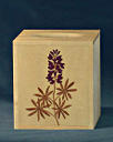 Box_Kleenex_0008