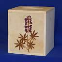 Box_Kleenex_0014