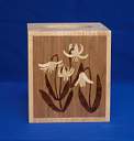 Box_Kleenex_0017