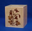 Box_Kleenex_0017