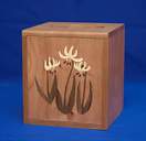 Box_Kleenex_0017