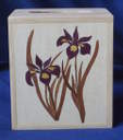 Box_Kleenex_0022