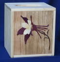 Box_Kleenex_0023