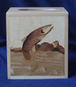 Box_Kleenex_0024