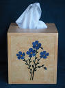 Box_Kleenex_0026