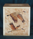 Box_Kleenex_0031