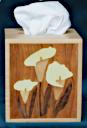 Box_Kleenex_0040