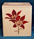 Box_Kleenex_0042