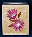 Box_Kleenex_0051