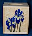 Box_Kleenex_0052