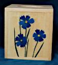 Box_Kleenex_0053