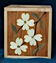 Box_Kleenex_0054
