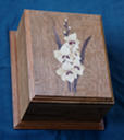 AshesBox_0101